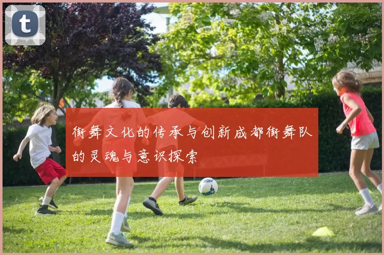 街舞文化的传承与创新成都街舞队的灵魂与意识探索