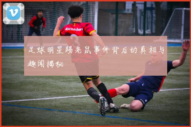 足球明星踢老鼠事件背后的真相与趣闻揭秘