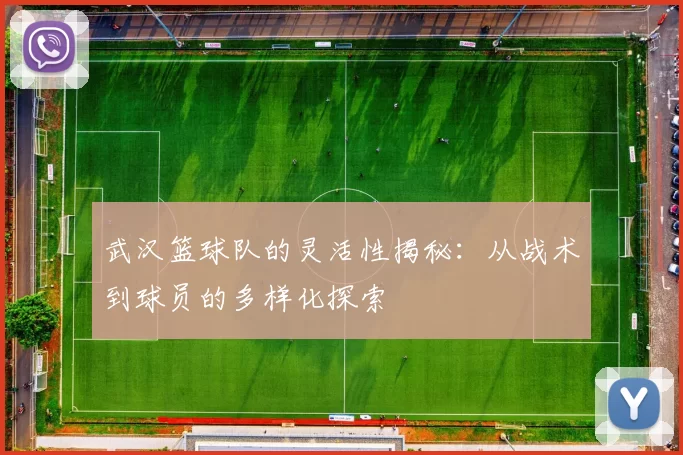 武汉篮球队的灵活性揭秘：从战术到球员的多样化探索