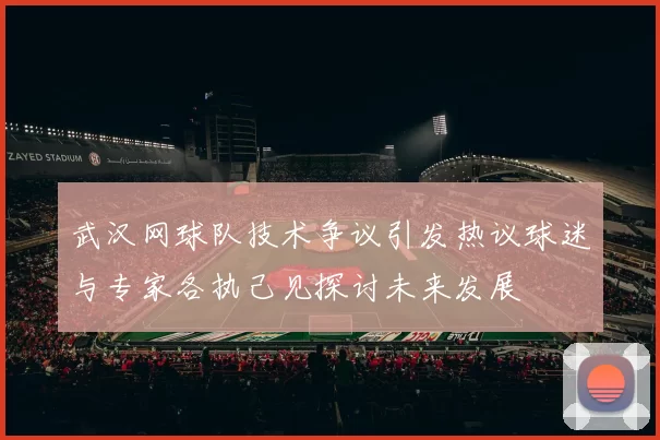 武汉网球队技术争议引发热议球迷与专家各执己见探讨未来发展