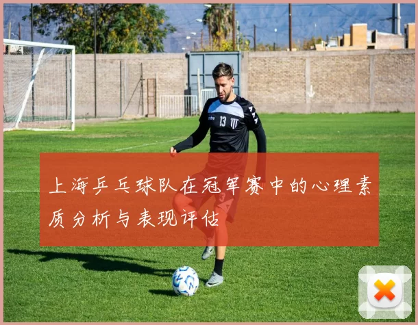 上海乒乓球队在冠军赛中的心理素质分析与表现评估