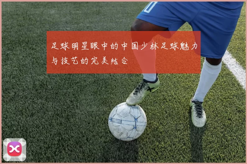 足球明星眼中的中国少林足球魅力与技艺的完美结合