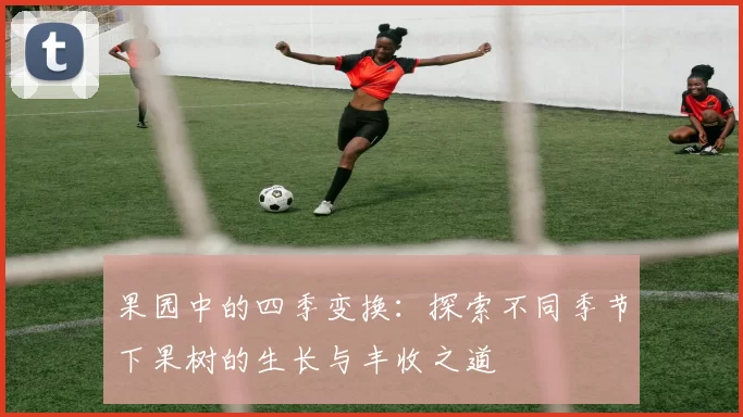 果园中的四季变换：探索不同季节下果树的生长与丰收之道