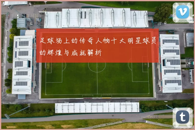 足球场上的传奇人物十大明星球员的辉煌与成就解析