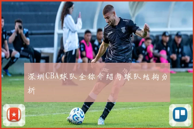 深圳CBA球队全称介绍与球队结构分析