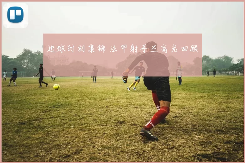 进球时刻集锦 法甲射手王高光回顾