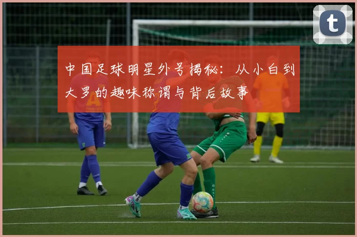 中国足球明星外号揭秘：从小白到大罗的趣味称谓与背后故事