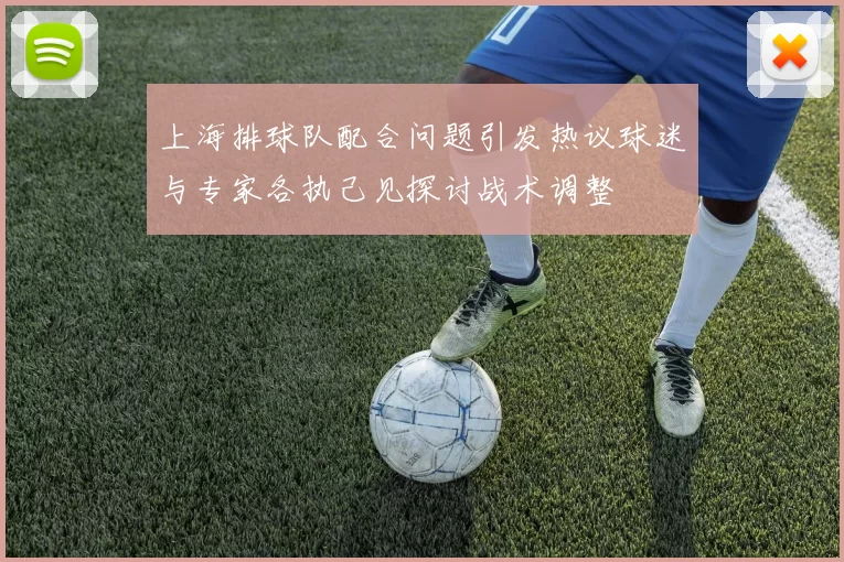 上海排球队配合问题引发热议球迷与专家各执己见探讨战术调整