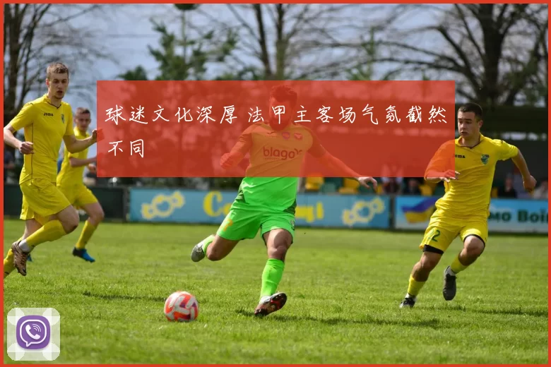 球迷文化深厚 法甲主客场气氛截然不同